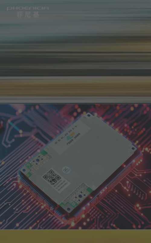 菲尼基自主技术–
软件BMS智能管理系统