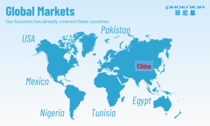 菲尼基：海外市场的创新征程